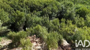 Terrain  à Carvoeira