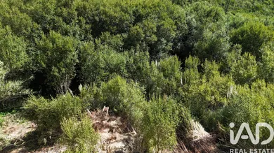 Land  in Carvoeira