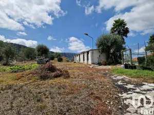 Terreno  em Alvados e Alcaria