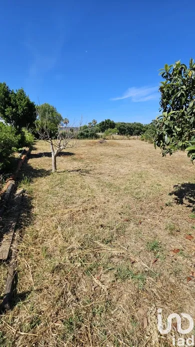 Terreno  em Almancil