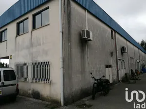 Commercial walls at Arega