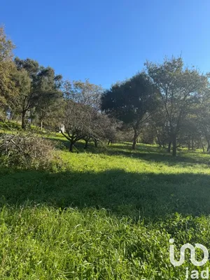 Terreno urbano  em Bárrio