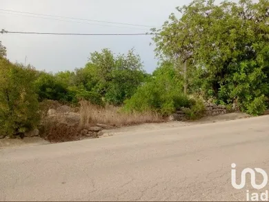 Terreno  em Moncarapacho e Fuseta