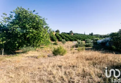 Terrain  à Castro Marim