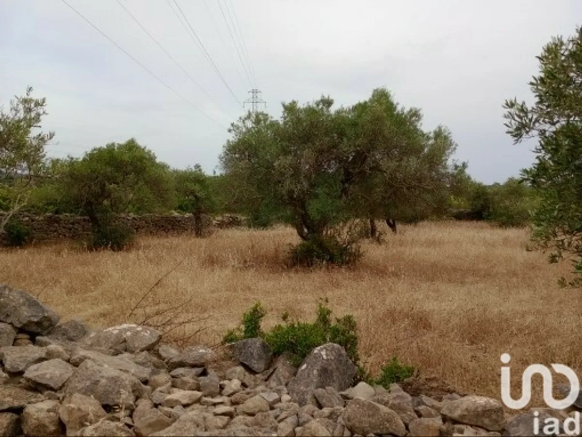 Terreno de 2410 m² em Conceição e Estoi