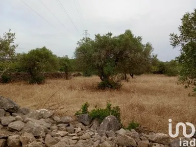 Fotografia 1 de Terreno de 2410 m² em Conceição e Estoi