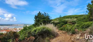 Terrain  à São Martinho do Porto