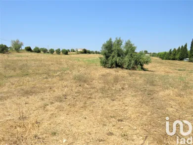 Terreno  em Madalena e Beselga