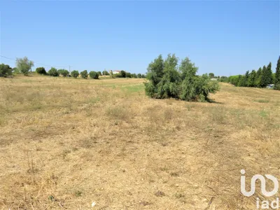 Fotografia 3 de Terreno de 13 720 m² em Madalena e Beselga