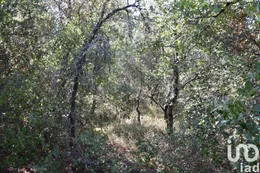 Terreno  em Areias e Pias