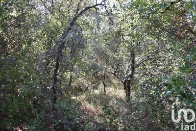 Fotografia 3 de Terreno de 7520 m² em Areias e Pias