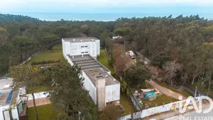 Building  in Árvore