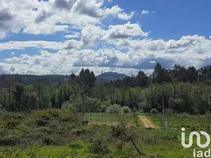 Land in Nossa Senhora da Piedade