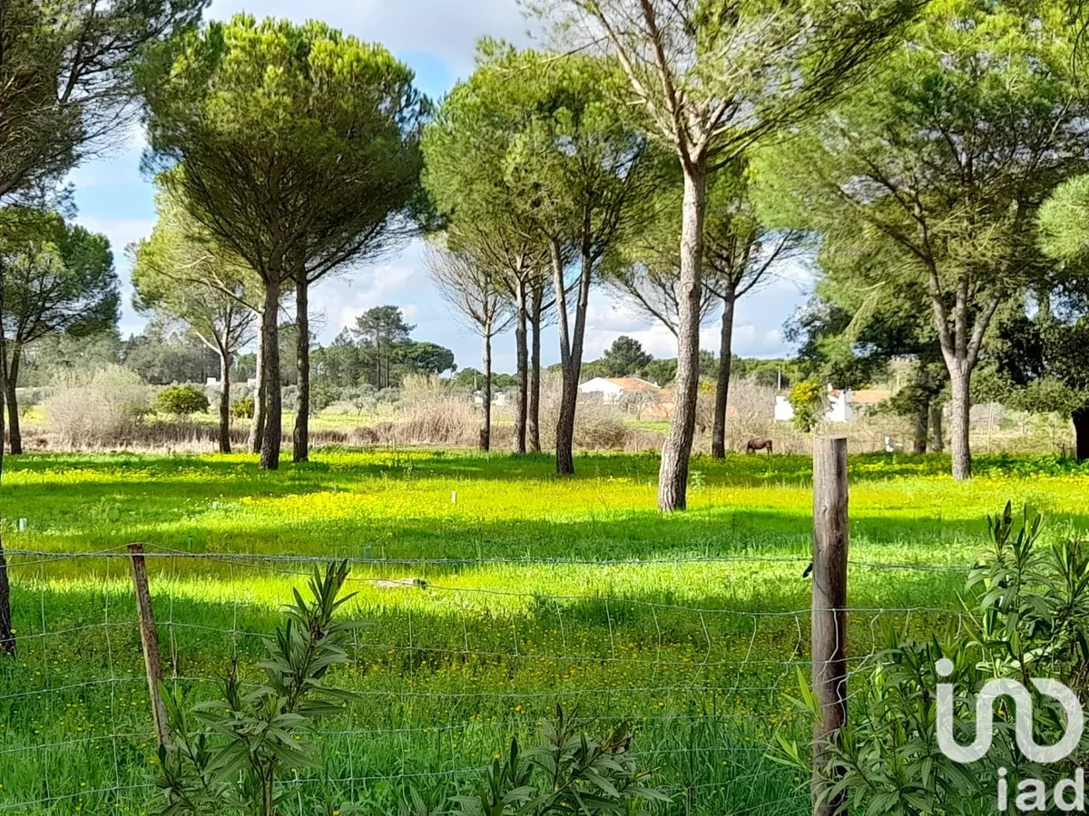 Terreno de 41 000 m² em Grândola e Santa Margarida da Serra