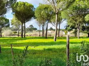 Land  at Grândola e Santa Margarida da Serra