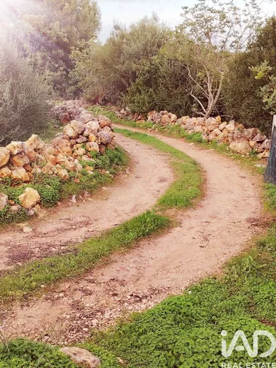 Terreno  em Moncarapacho e Fuseta
