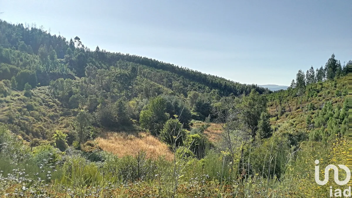 Terreno de 23 757 m² em Pedrógão Pequeno