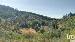 Land  at Pedrógão Pequeno