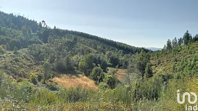 Land at Pedrógão Pequeno