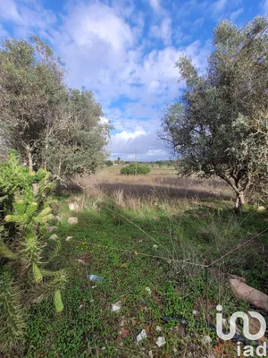 Farm land  at Lagoa e Carvoeiro