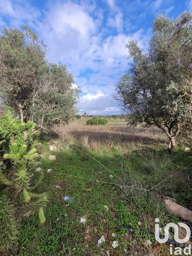 Farm land  at Lagoa e Carvoeiro