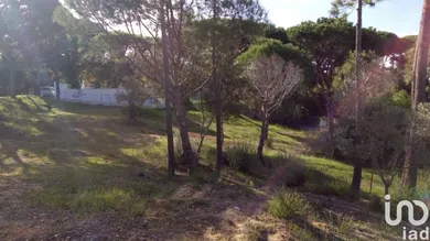 Terreno urbano  em Almancil