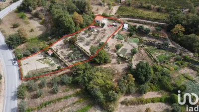 Fotografia 6 de Terreno rústico de 1600 m² em Mangualde