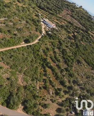 Terreno  em Conceição e Estoi