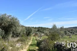 Terrain à Chãos