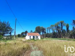 House in Torreira