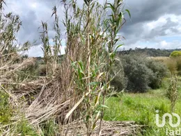 Terreno  em Outeiro da Cortiçada e Arruda dos Pisões