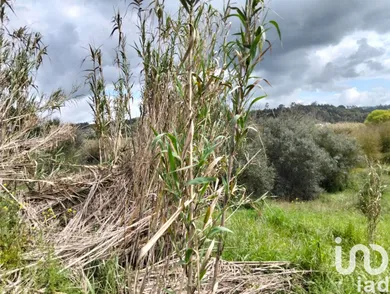 Terreno  em Outeiro da Cortiçada e Arruda dos Pisões