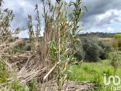 Fotografia 3 de Terreno de 1540 m² em Outeiro da Cortiçada e Arruda dos Pisões