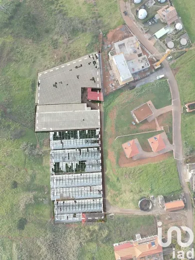 Building plot  in Prazeres