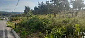 Land at Pedrógão Grande