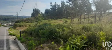 Land at Pedrógão Grande