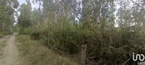 Terreno  em Nogueira, Meixedo e Vilar de Murteda
