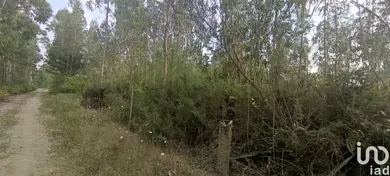 Terrain  à Nogueira, Meixedo e Vilar de Murteda