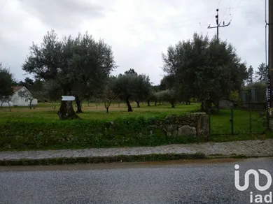 Terreno  em Açores e Velosa