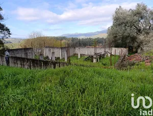 Land  at Chaviães e Paços
