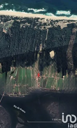Land  in Torreira