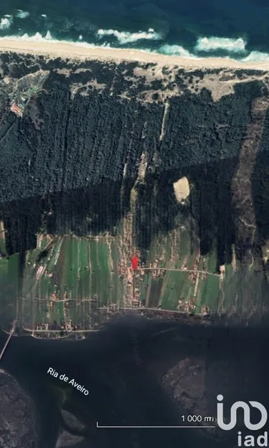 Terreno  em Torreira