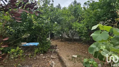 Casa/Moradia  em Boliqueime