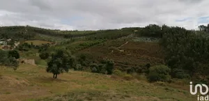 Terreno  em São Pedro de Tomar