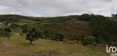 Terrain  à São Pedro de Tomar
