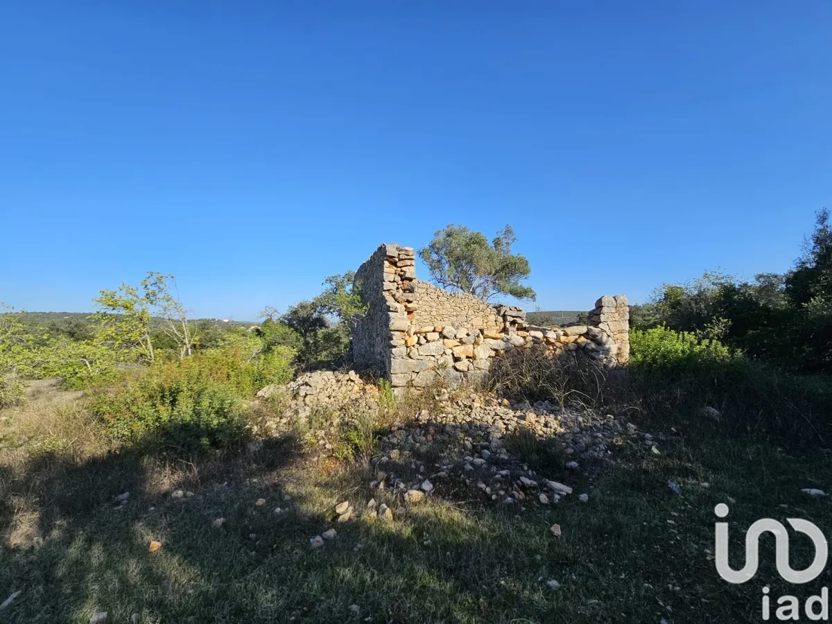 Terreno de 17 311 m² em Loulé (São Clemente)