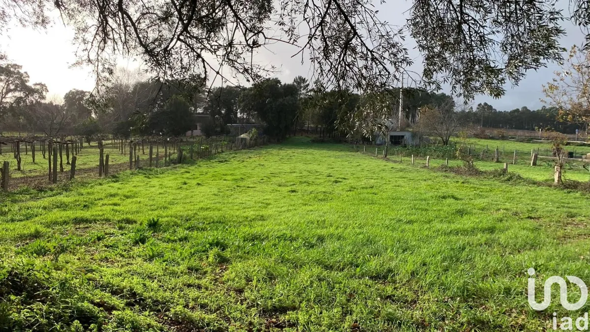 Terreno urbano de 2600 m² em Mazedo e Cortes