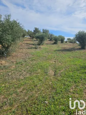 Farm land  at Selmes