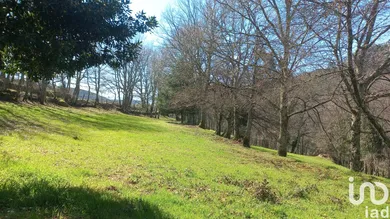 Land  in Campelo e Ovil