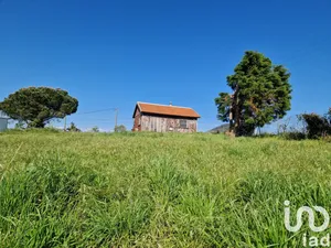 Terreno  em Lamas e Cercal